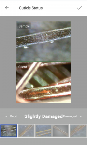 skin analysis device