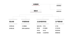skin analysis device