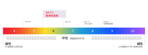 skin analysis device