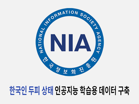 NIA 政府任务