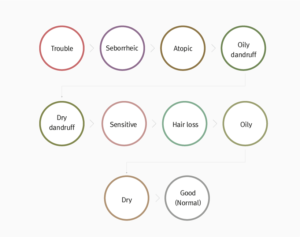 ai scalp grader