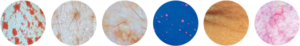 skin analysis device